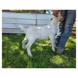 Billy kid born end of February