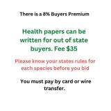 8% Buyers Premium Added to all Winning lots