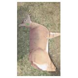 2 Deer Decoy Silohuetts
