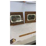 21' x 17'  Framed Deer Pictures