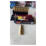 20 Rounds 30-06 Caliber Ammunition