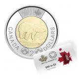 RCM 2021  Polar Bear $2 x 25 Coins - First Strike