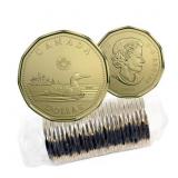 RCM 2018 Mint Roll Loon Dollar 25 Coins