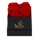 Mystery Holiday Preserved Roses by 'LINGNA' w/ F