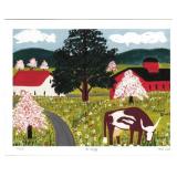 Maude Lewis  - Canada's Most Beloved Folk Artist F