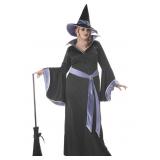 Adult Plus Incantasia the Glamour Witch Costume Ca