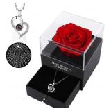 Rose - Special Treatment Will Last Forever, Case &