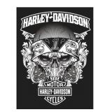 Harley Davidson - 11 x 14 Giclee