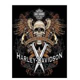 Harley Davidson - 11 x 14 Giclee Experience The Ri