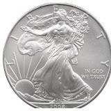 USA .999 Fine Silver Liberty/Eagle Dollar Coin