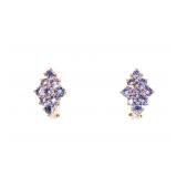 Sterling Silver Genuine Tanzanite Earrings