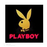 Mystery "PLAYBOY" Collector Magazine -Possibilit