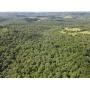 AUCTION of 69.6 WOODED ACRES