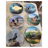 Collector Plates