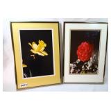 Photographic Enlargements