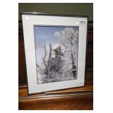 Photographic Enlargement