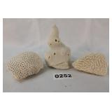 Coral Specimens