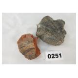 Fossil & Stone
