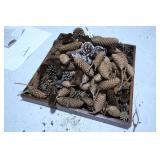 Pine Cones
