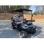 New Electric Golf Cart 4 Passenger Fully Loaded