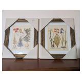 2PC FRAMED WALL ART, FLORAL THEME PICTURES-NIP