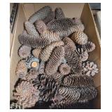 ASSTD ALL NATURAL PINE CONES