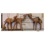 3PC CAMELS LEATHER WRAPPED