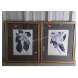 Pair of botanical prints, framed and double