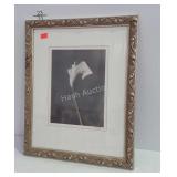 Calla Lily print, framed, matted & signed, 18 x