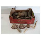 Rocks, seashells, odd formed branch, etc