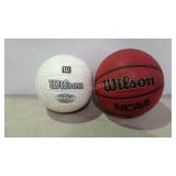 Wilson volleyball and basketball