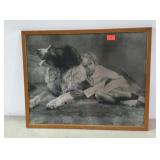 Framed print Saint Bernard and little girl