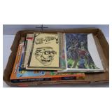 Mini comics, comic note cards, Pokemon book, Sonic