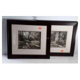 Pair of photo prints, city park scenes, framed