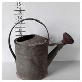 Galvanized watering can with sprinkler head, Remco