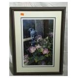 Blue Jay with morning glories print, framed and