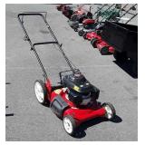 Poulan 21 inch cut push mower