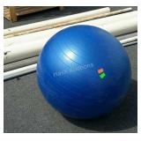 Life Fitness exercise ball