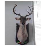 Singing wall mount deer, does work
