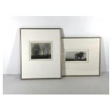 Two black & white photo prints of trees,