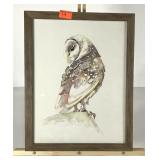 Owl print with the look of a watercolor, framed