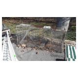 coyote trap measures 16 in wide x 58 in Long X 26