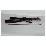 Arrows and quiver. Quiver is canvas with