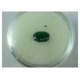 Oval Emerald .75ct