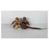 Four birds, includes three owls and one pheasant,