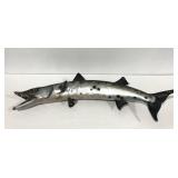 Taxidermy,  barracuda fish, 47" wide, minor wear