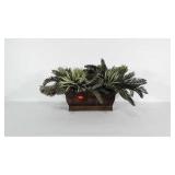 Everlasting plant in metal planter. Base of