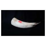 Powder horn, 11"