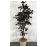 Everlasting tree in basket, stands over 7 feet