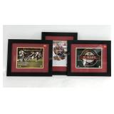 Washington sports teams fan group, framed and